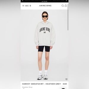 Anine Bing Light Gray Logo Hoodie